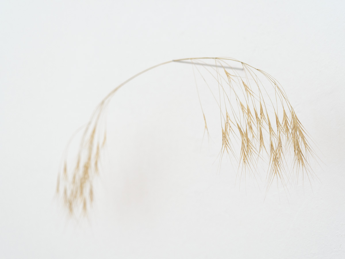 ANJA ASCHE – Balance, bewegliches Wand-Objekt, art, installation