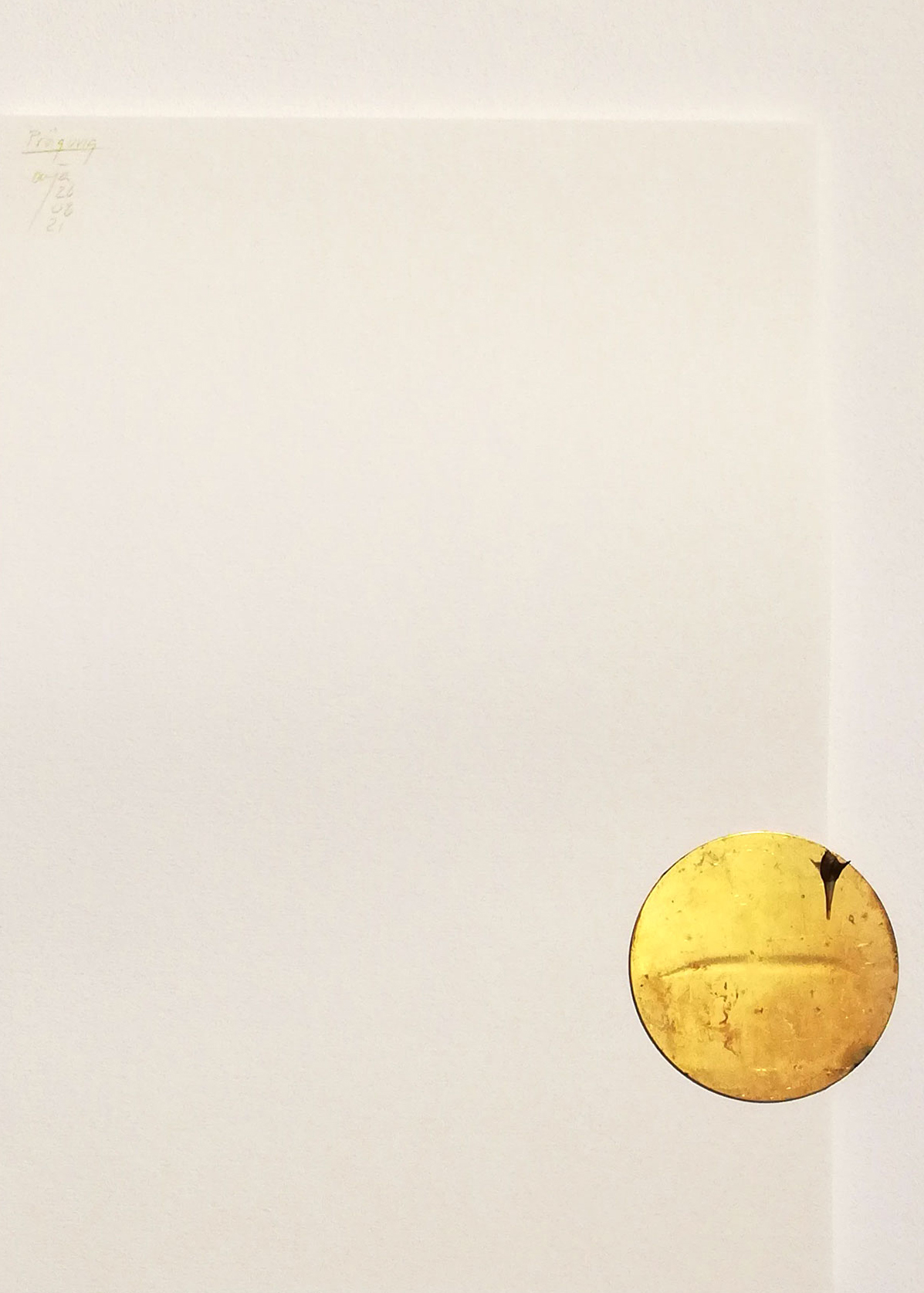Anja Asche – Prägung, Din A4 Collagen Serie, Papier, Naturmaterialien, Messingscheibe, Kapa, 2021 / Imprint, Din A4 collage series, paper, natural materials, brass disc, Kapa// Berlin, Schwanenwerder, 2021