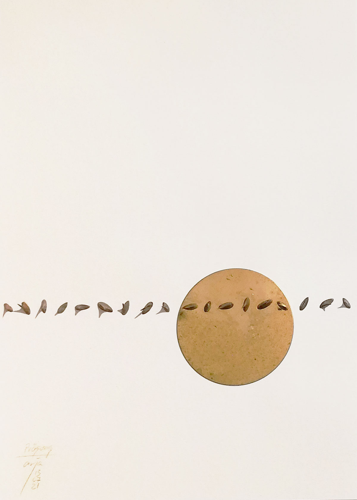 Anja Asche – Prägung, Din A4 Collagen Serie, Papier, Naturmaterialien, Messingscheibe, Kapa, 2021 / Imprint, Din A4 collage series, paper, natural materials, brass disc, Kapa// Berlin, Schwanenwerder, 2021