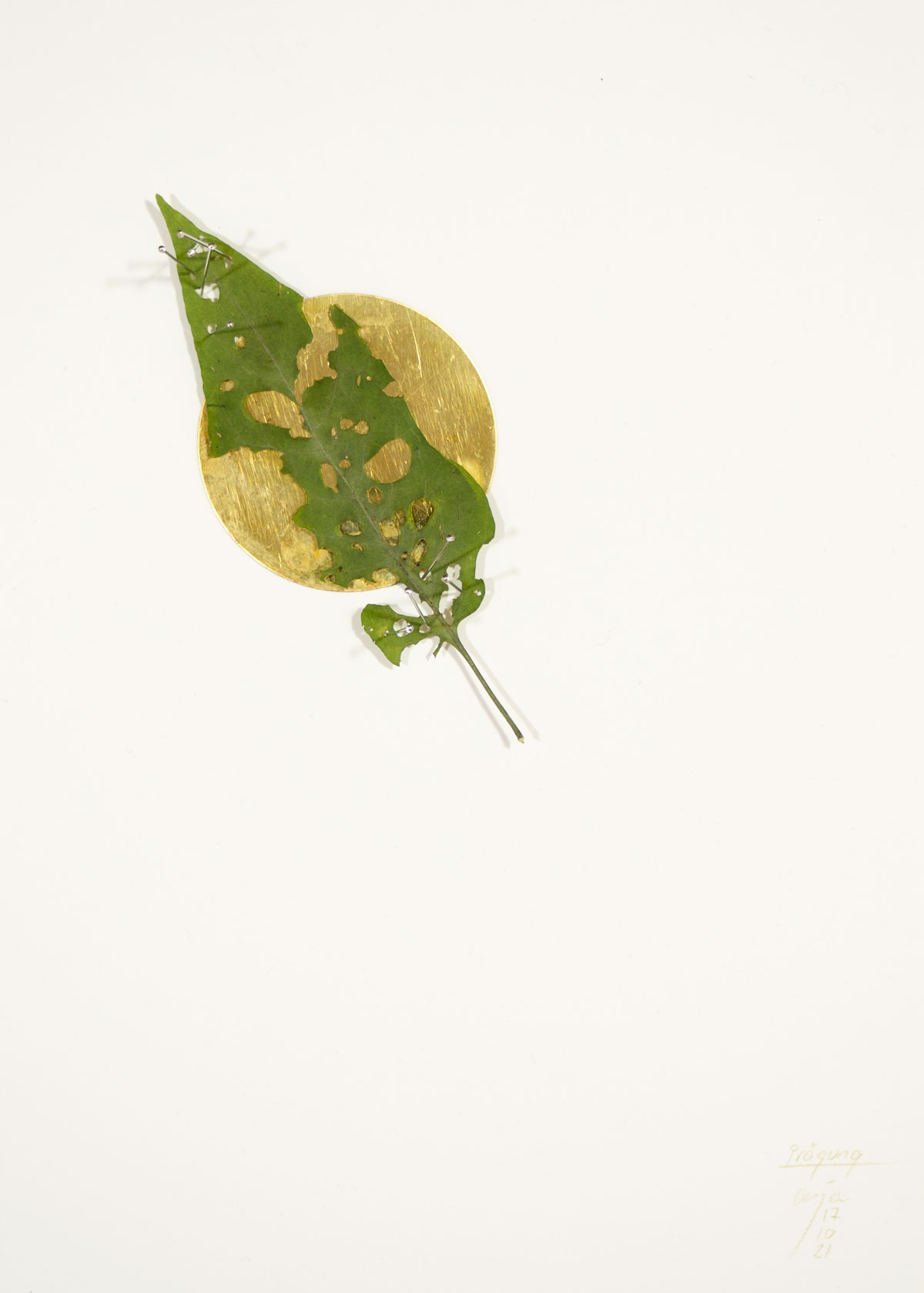 Anja Asche – Prägung, Din A4 Collagen Serie, Papier, Naturmaterialien, Messingscheibe, Kapa, 2021 / Imprint, Din A4 collage series, paper, natural materials, brass disc, Kapa// Berlin, Schwanenwerder, 2021