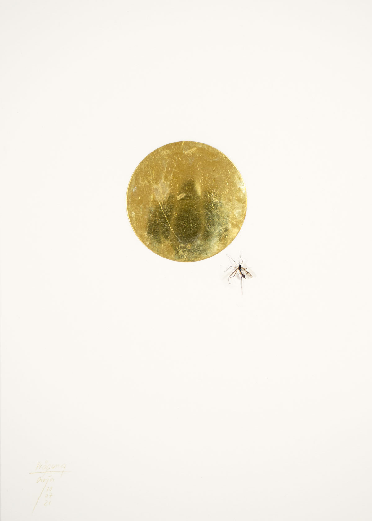 Anja Asche – Prägung, Din A4 Collagen Serie, Papier, Naturmaterialien, Messingscheibe, Kapa, 2021 / Imprint, Din A4 collage series, paper, natural materials, brass disc, Kapa// Berlin, Schwanenwerder, 2021
