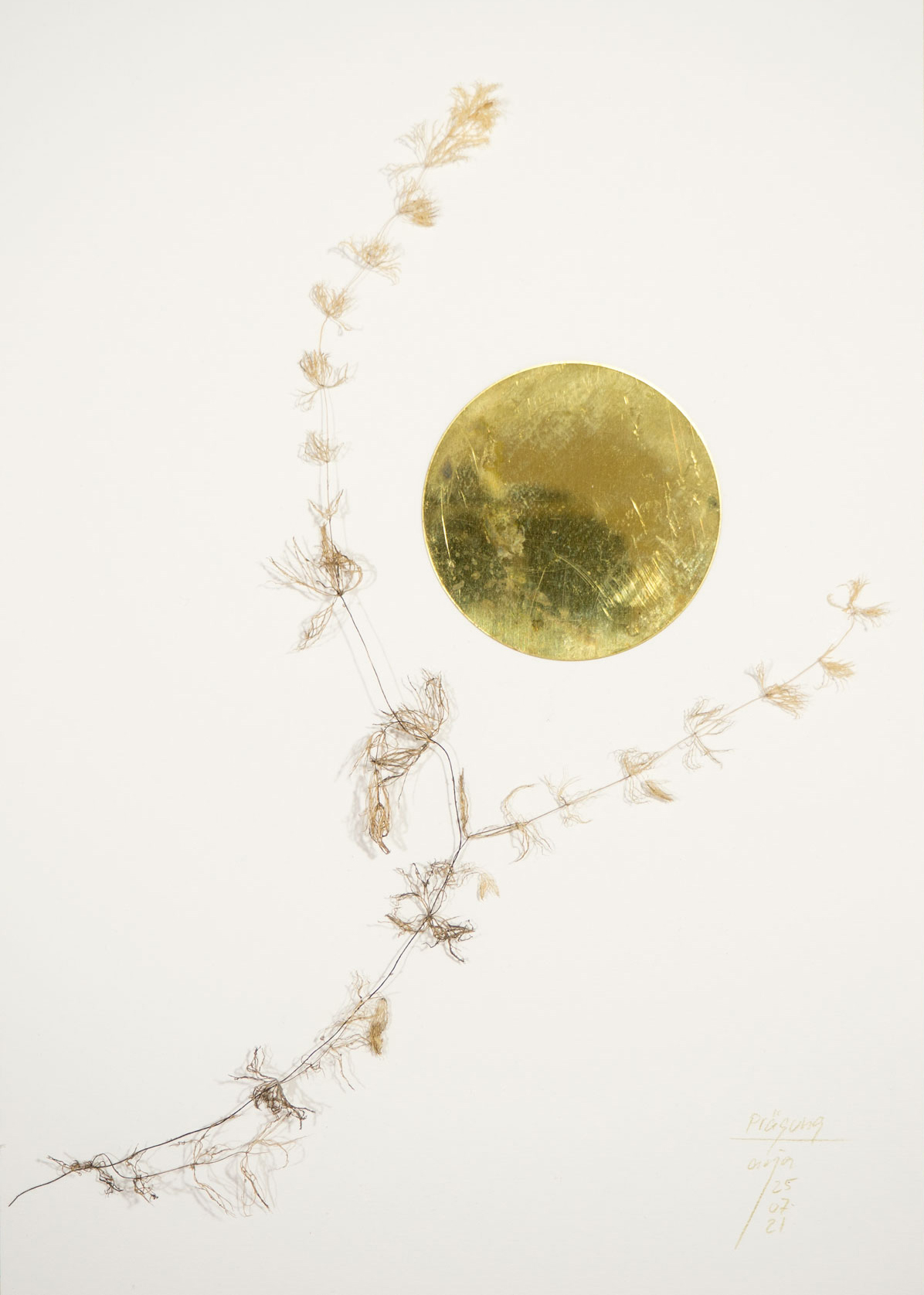 Anja Asche – Prägung, Din A4 Collagen Serie, Papier, Naturmaterialien, Messingscheibe, Kapa, 2021 / Imprint, Din A4 collage series, paper, natural materials, brass disc, Kapa// Berlin, Schwanenwerder, 2021