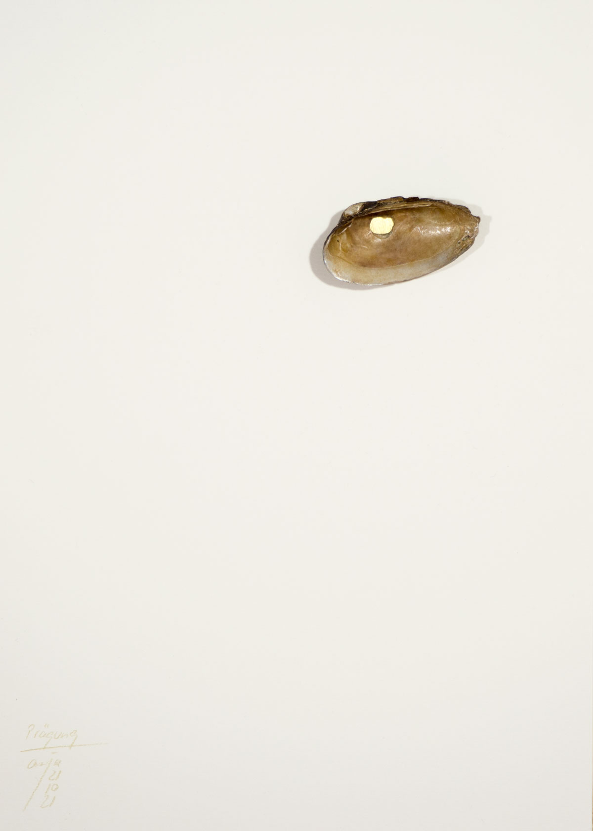 Anja Asche – Prägung, Din A4 Collagen Serie, Papier, Naturmaterialien, Messingscheibe, Kapa, 2021 / Imprint, Din A4 collage series, paper, natural materials, brass disc, Kapa// Berlin, Schwanenwerder, 2021