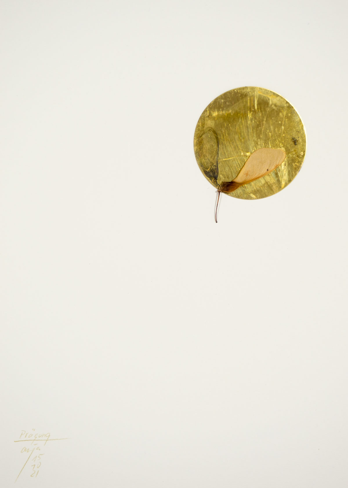 Anja Asche – Prägung, Din A4 Collagen Serie, Papier, Naturmaterialien, Messingscheibe, Kapa, 2021 / Imprint, Din A4 collage series, paper, natural materials, brass disc, Kapa// Berlin, Schwanenwerder, 2021