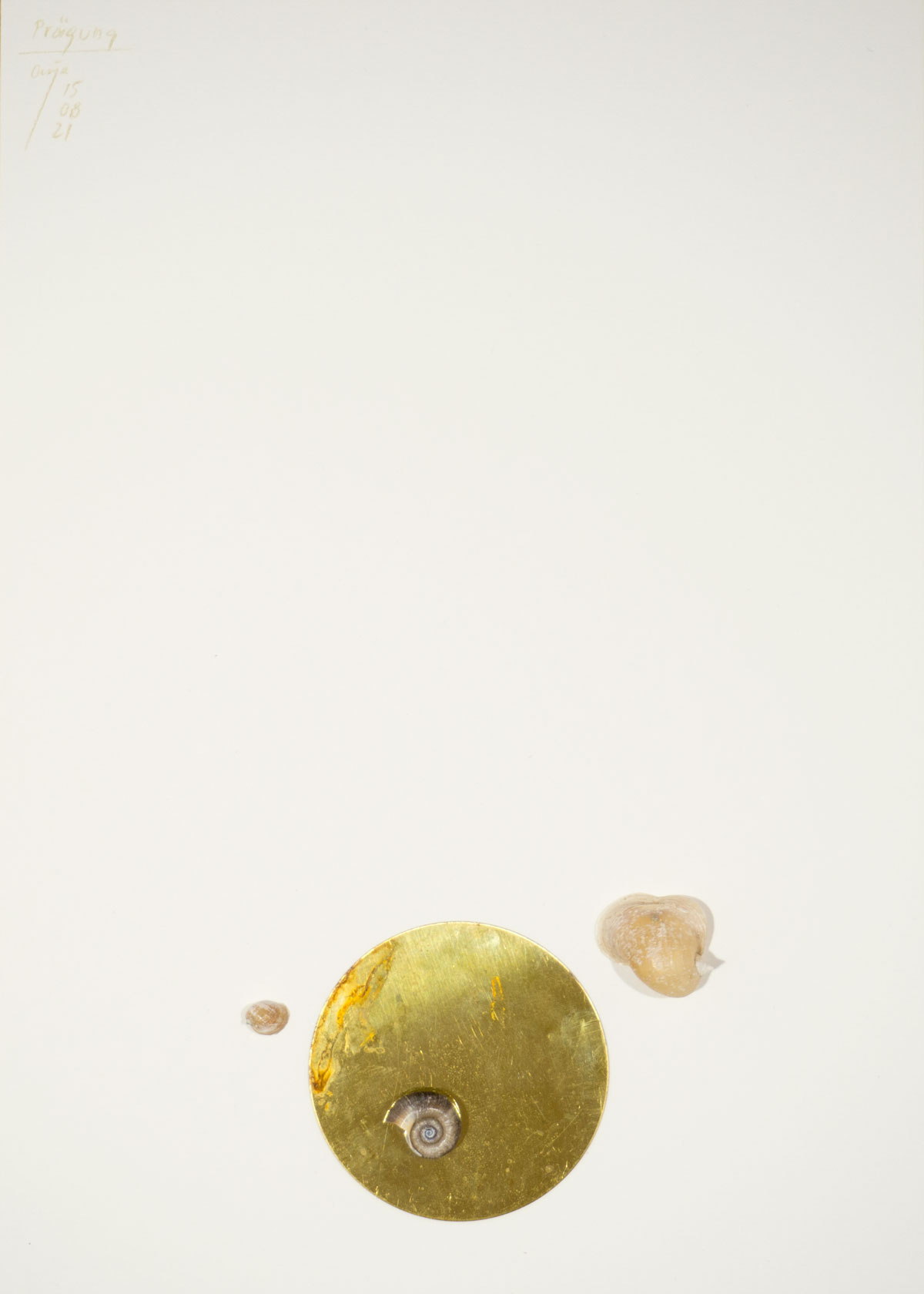 Anja Asche – Prägung, Din A4 Collagen Serie, Papier, Naturmaterialien, Messingscheibe, Kapa, 2021 / Imprint, Din A4 collage series, paper, natural materials, brass disc, Kapa// Berlin, Schwanenwerder, 2021