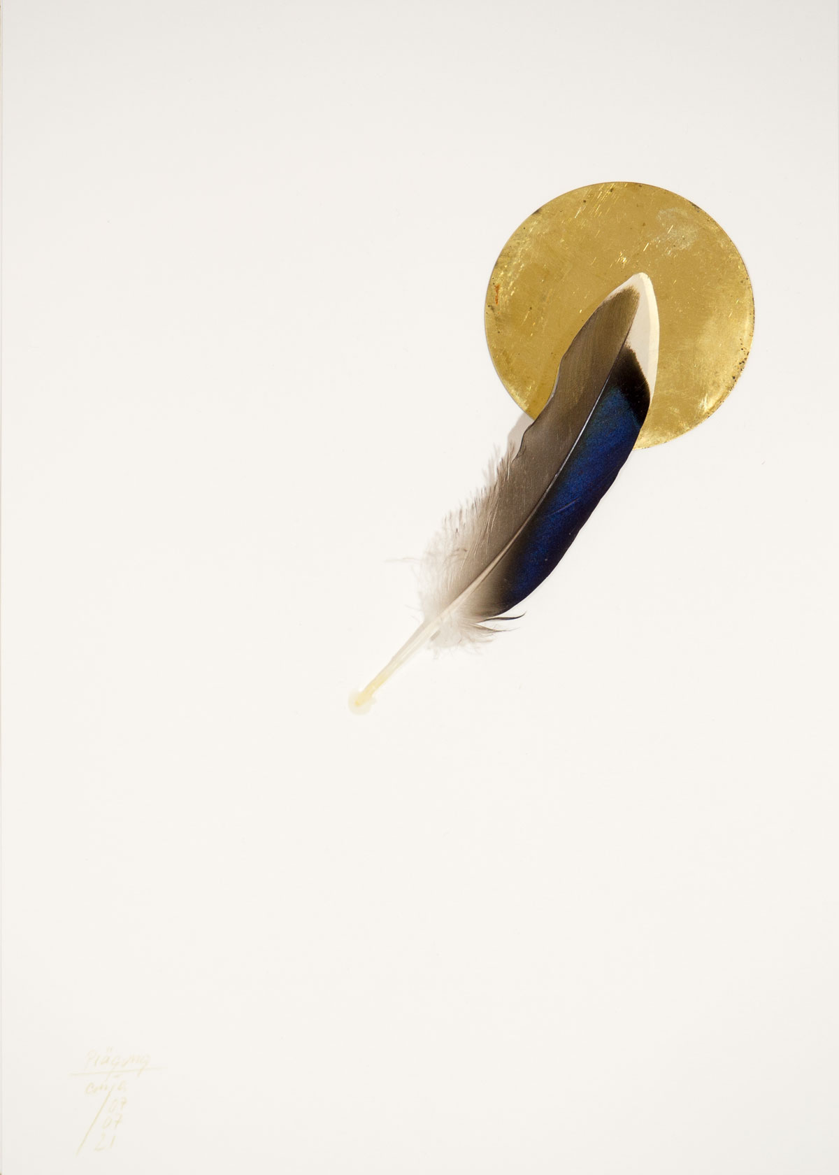 Anja Asche – Prägung, Din A4 Collagen Serie, Papier, Naturmaterialien, Messingscheibe, Kapa, 2021 / Imprint, Din A4 collage series, paper, natural materials, brass disc, Kapa// Berlin, Schwanenwerder, 2021