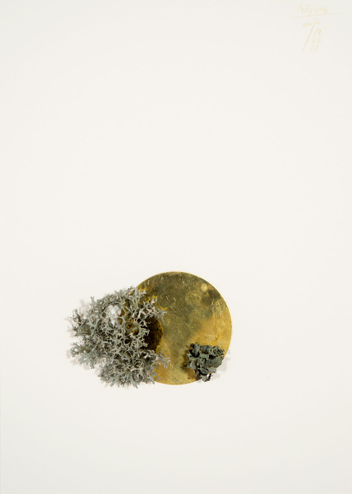 Anja Asche – Prägung, Din A4 Collagen Serie, Papier, Naturmaterialien, Messingscheibe, Kapa, 2021 / Imprint, Din A4 collage series, paper, natural materials, brass disc, Kapa// Berlin, Schwanenwerder, 2021