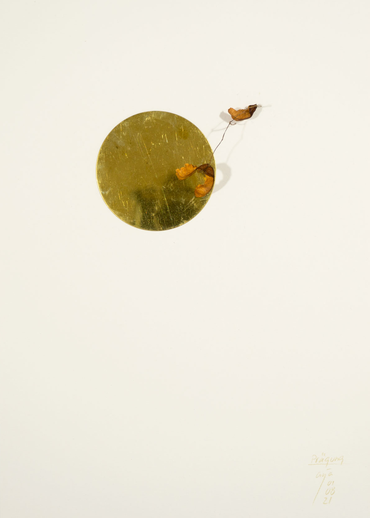 Anja Asche – Prägung, Din A4 Collagen Serie, Papier, Naturmaterialien, Messingscheibe, Kapa, 2021 / Imprint, Din A4 collage series, paper, natural materials, brass disc, Kapa// Berlin, Schwanenwerder, 2021