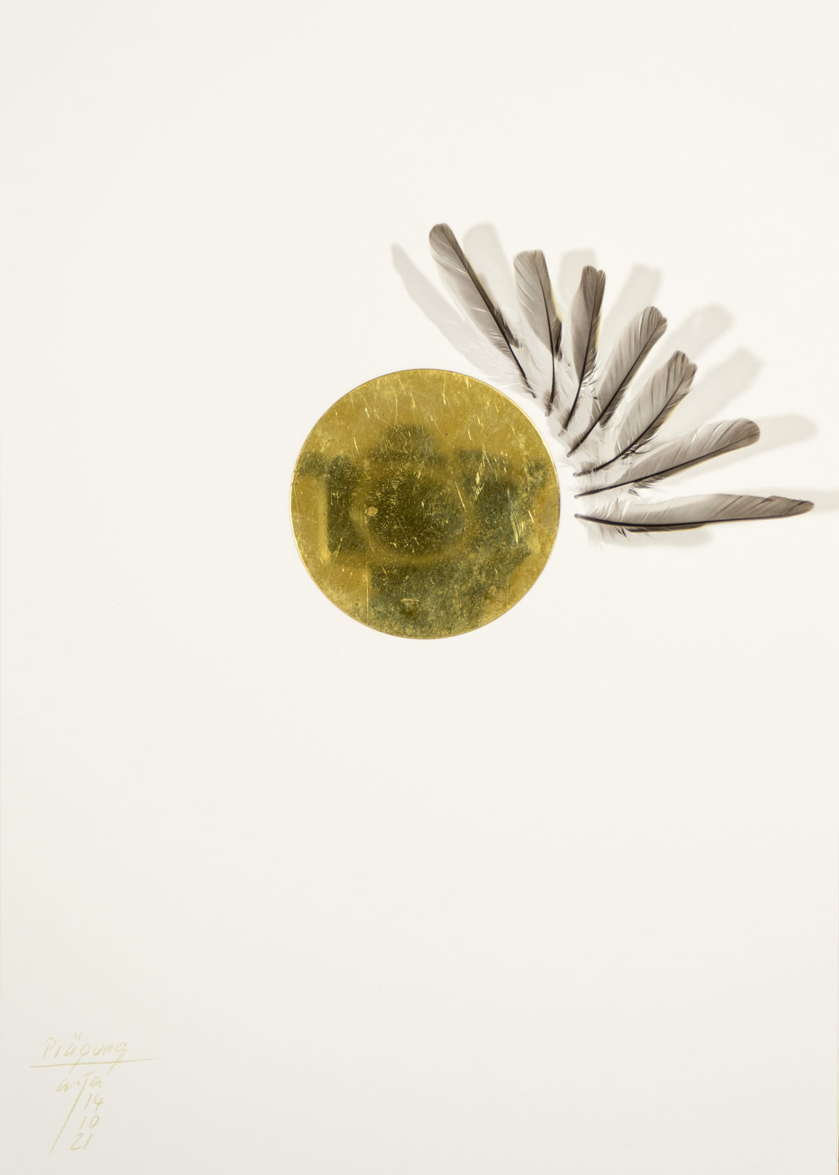 Anja Asche – Prägung, Din A4 Collagen Serie, Papier, Naturmaterialien, Messingscheibe, Kapa, 2021 / Imprint, Din A4 collage series, paper, natural materials, brass disc, Kapa// Berlin, Schwanenwerder, 2021