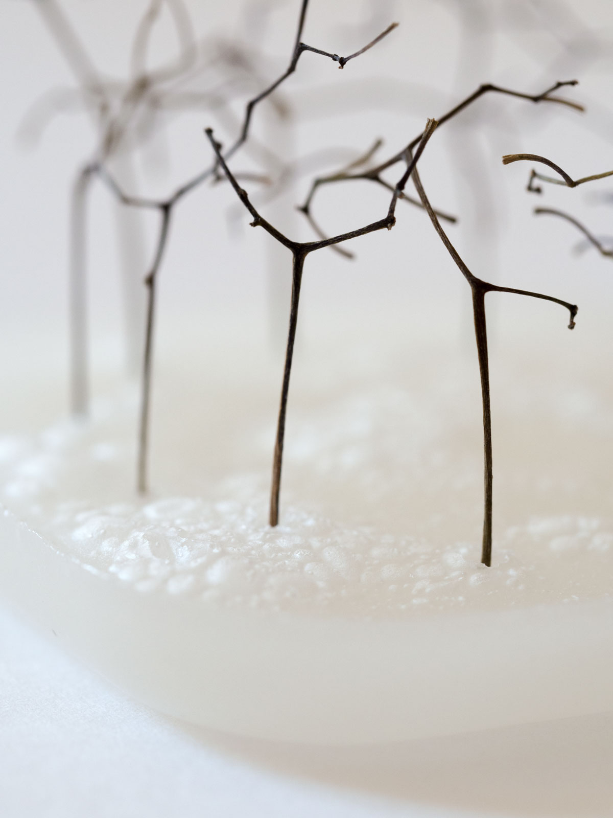 Anja Asche, Kleine Kultstätte (Learning from Stonehenge), Skulptur, Miniatur, Wachs, Pflanzentriebe, 2018