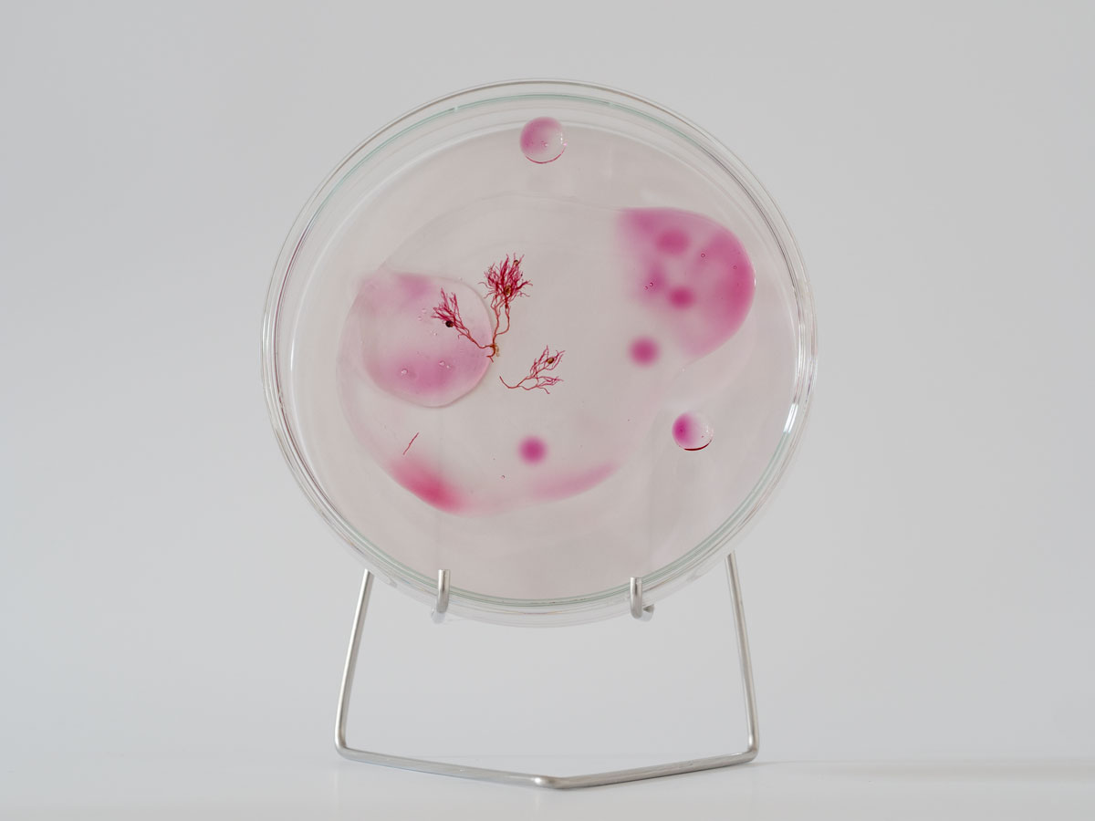 ANJA ASCHE - matter and light no.1, object art, detail mixed media