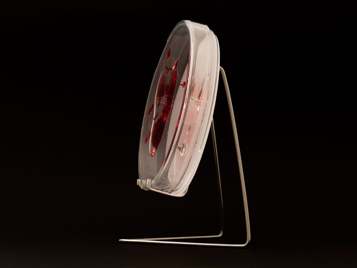 ANJA ASCHE - matter and light no.3, object art, petri dishes