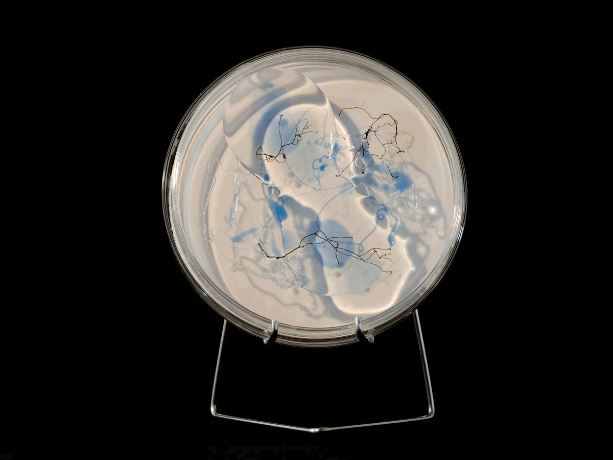 ANJA ASCHE - matter and light no. 4, object art, sculpture