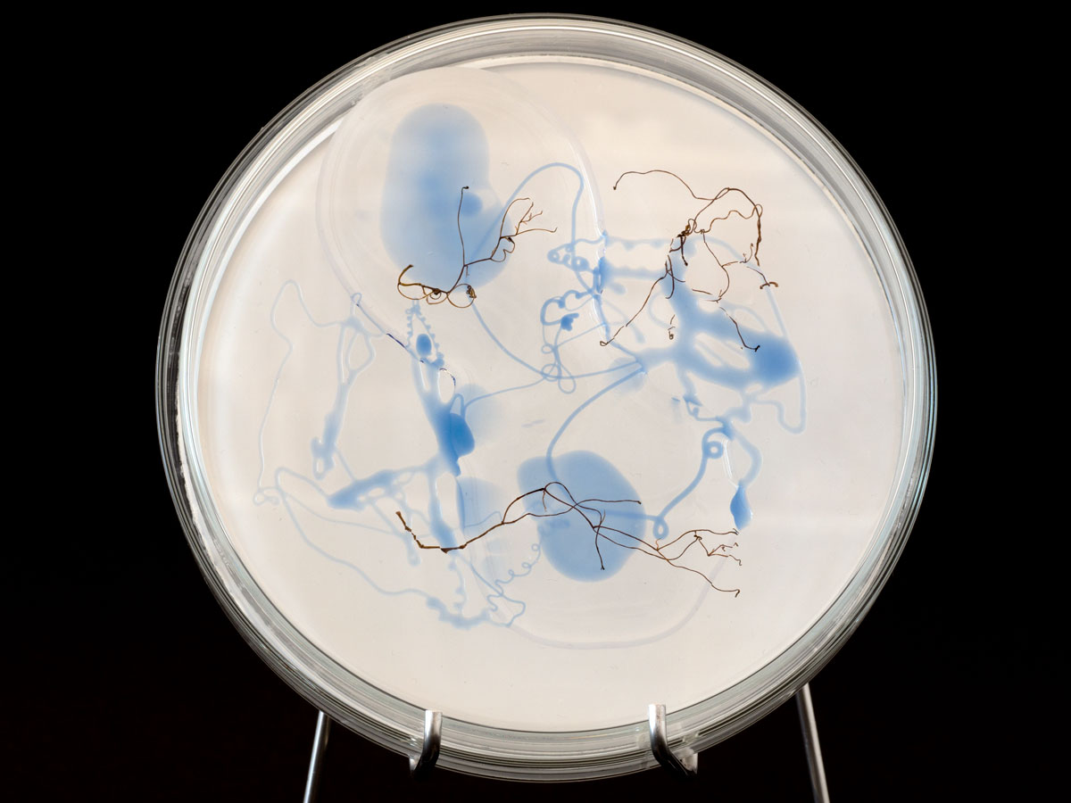 ANJA ASCHE - matter and light no.4, object art, mixed medi