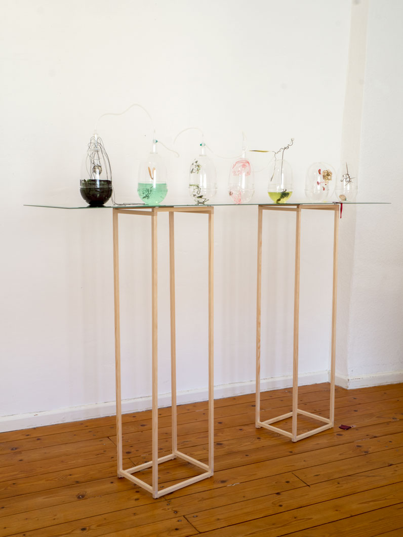 ANJA ASCHE - creation, the. Mixed media object installation.