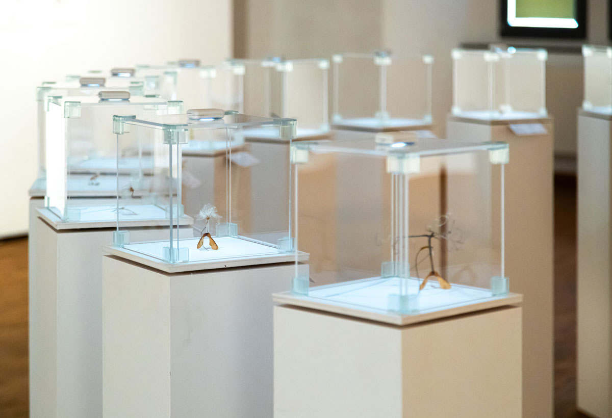 Bestäubungsdrohne von ANJA ASCHE, Ausstellungsansicht, Kunstgalerie Altes Rathaus Fürstenwalde/Spree, 2023