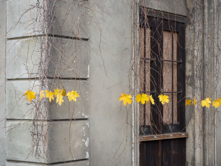 Anja Asche – Horizont, ortsspezifische Installation aus gelbem Herbstlaub
