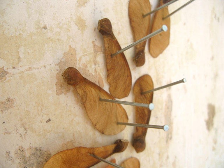 Ja. Wand-Installation aus Ahorn-Samen und Nägeln. Konzept Kunst von Anja Asche.