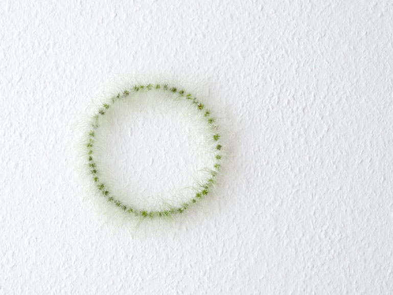 Kleiner Feuerring. Wand-Installation aus Pflanzensamen. Kunst von Anja Asche.