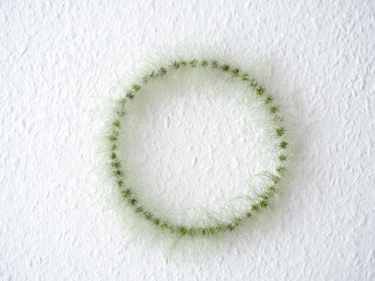 Kleiner Feuerring. Wand-Installation aus Pflanzensamen. Kunst von Anja Asche.