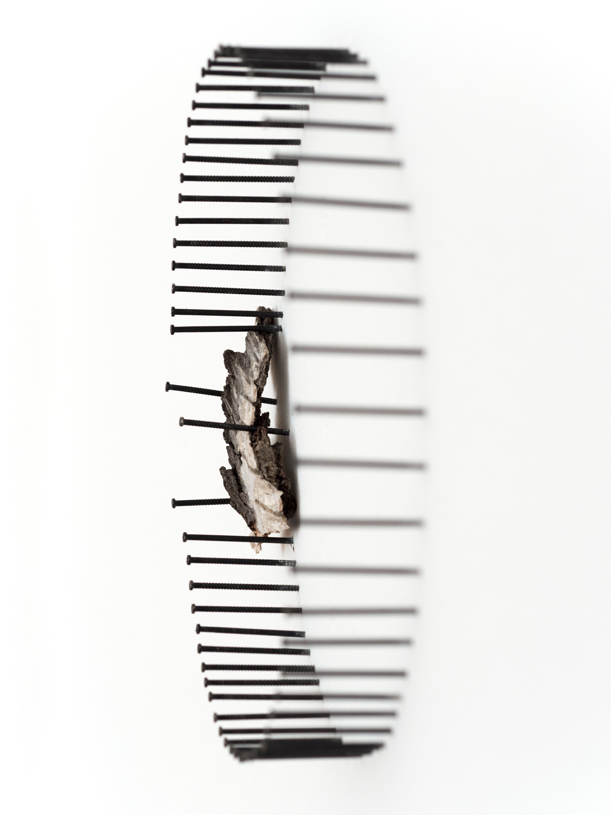 Rückrad. Wand-Installation, Birkenrinde, Nägel. Art by Anja Asche