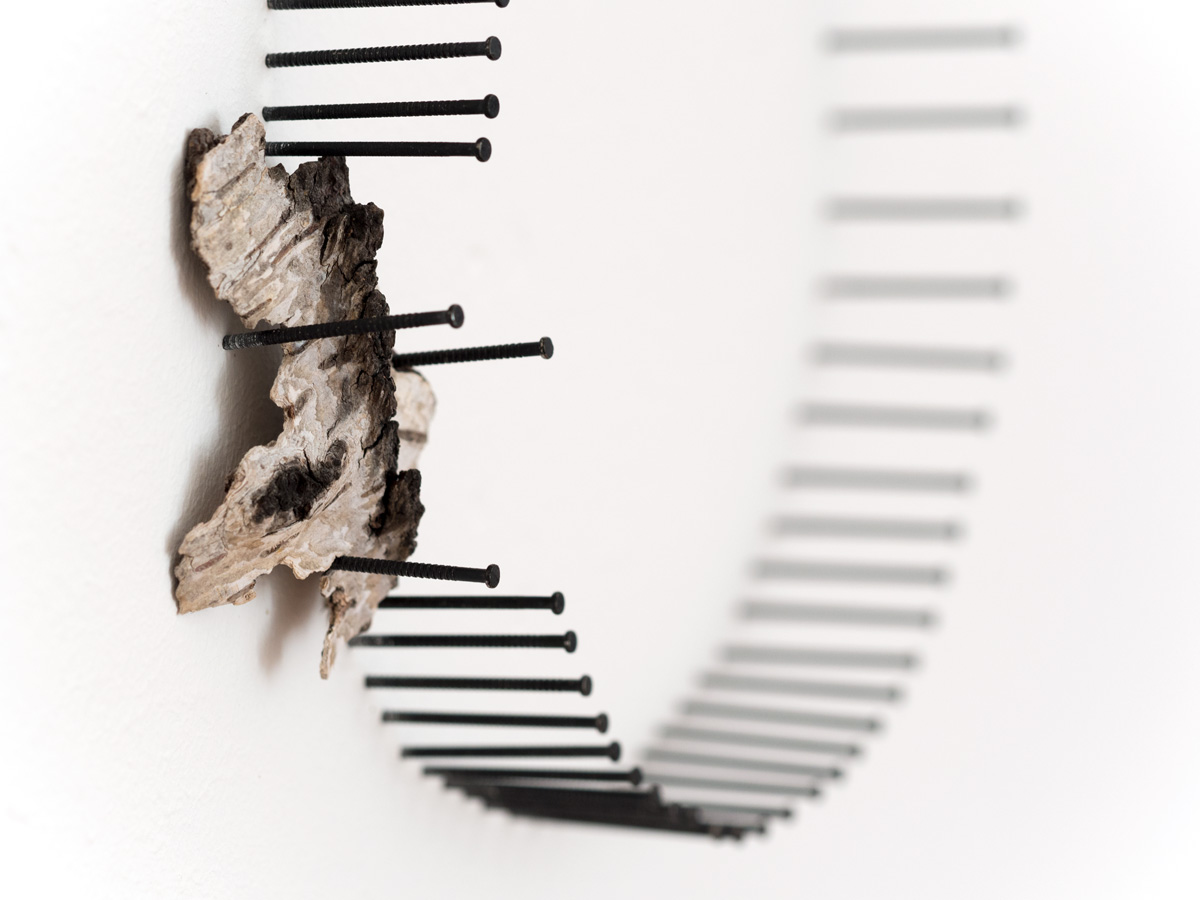 Rückrad. Wand-Installation, Birkenrinde, Nägel. Art by Anja Asche