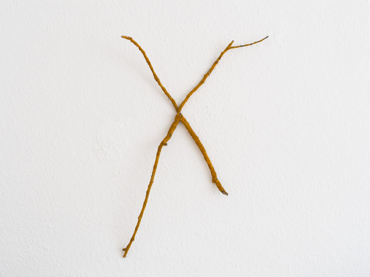 Identitaet. Wand-Installation aus Ästen. Konzept Kunst von Anja Asche.