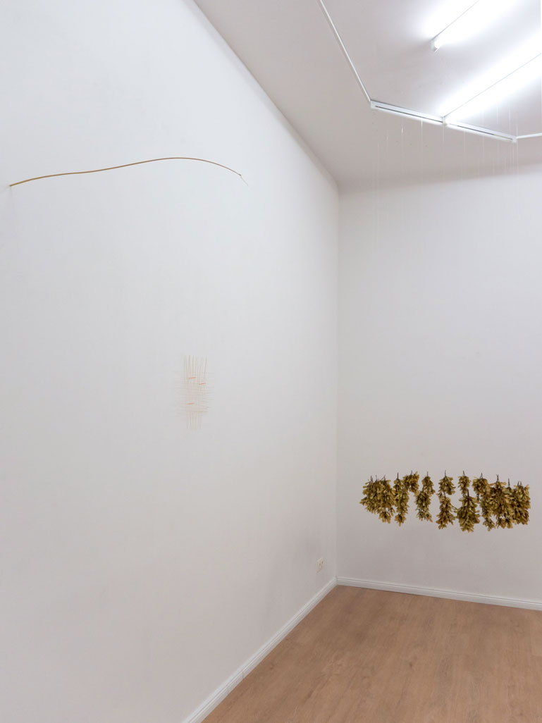 ANJA ASCHE, Basis, Wand-Installation,  Binsengras und Nagel, ca. 81x10x1cm, Ausstellungsansicht zusammen mit den Installationen  Fragil und grosser feuerkreis ahornsamen