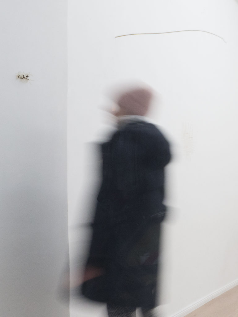 Anja Asche, Wand-Installation d.ich.t, Ausstellungsansicht Detail Galerie Lite-Haus, Berlin