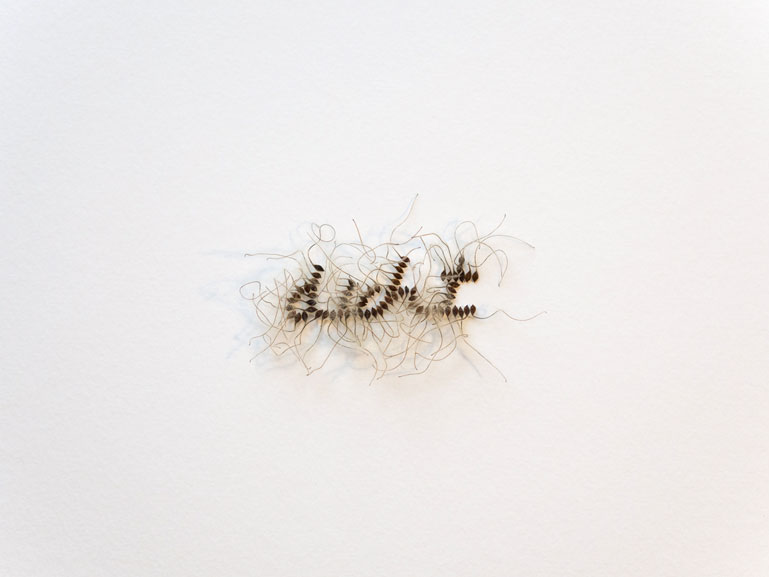 Anja Asche, d.ich.t, Installation aus Pflanzensamen, 10 x 7 x 4 cm