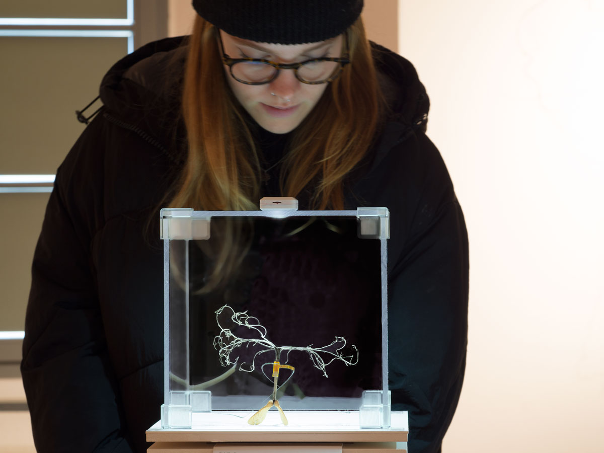 Bestäubungsdrohne von ANJA ASCHE, Ausstellungsansicht, Kunstgalerie Altes Rathaus Fürstenwalde/Spree, 2023