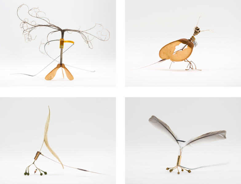 Anja Asche – Bestäubungsdrohnen / Robobees / / objectart, small scale sculptur, natureart