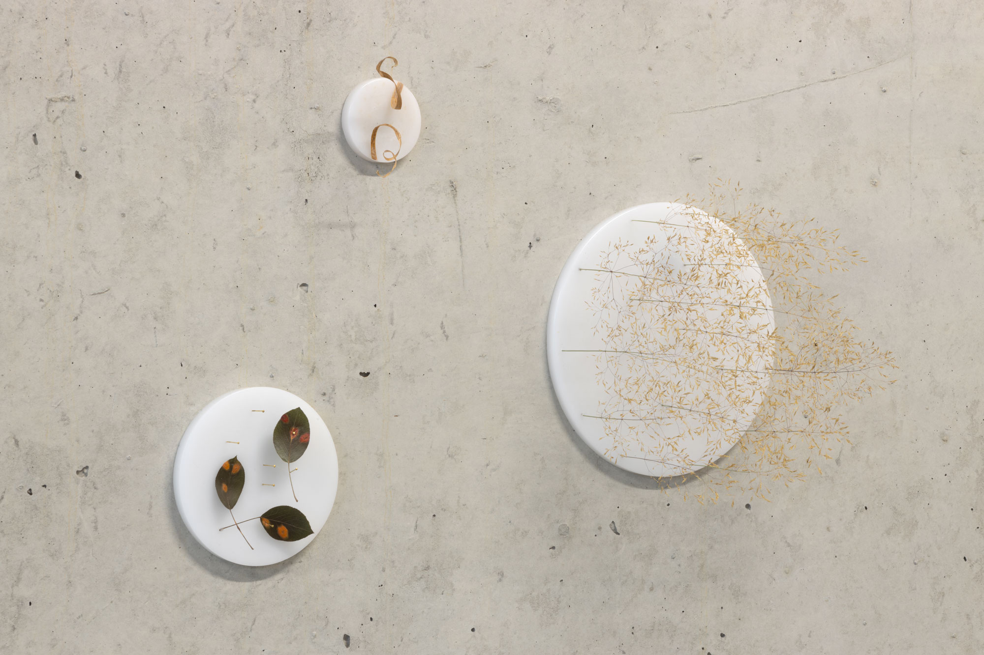 ANJA ASCHE. Galerie Gedok Berlin. Gruppenausstellung 2024 „Danach“. ANJA ASCHE, „Erinnerung“ Collagen, Assamblagen aus natürlichen Fundstücken.