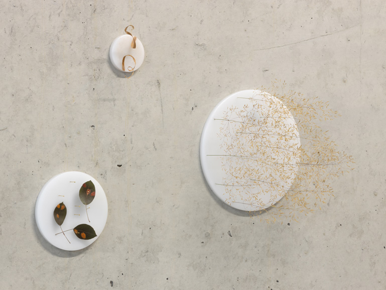 Anja Asche – Erinnerung / memory / / objectart, wall sculpture, natureart, OP ENHEIM, Foto Alicja Kielan
