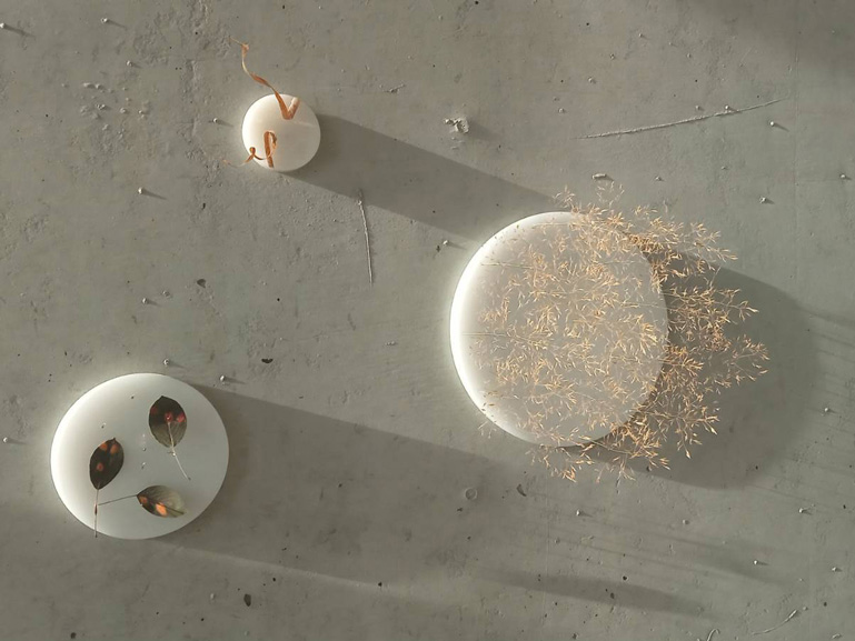 ANJA ASCHE – Erinnerung No.3 – No. 5. Objektart, wallobjects, sculpture, wax, grasses, leaves.