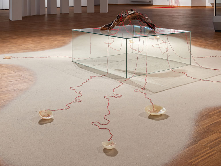 Anja Asche – Entfaltung / Unfolding / / installation, Kunstgalerie Altes Rathaus Fürstenwalde natureart, Foto Radoi