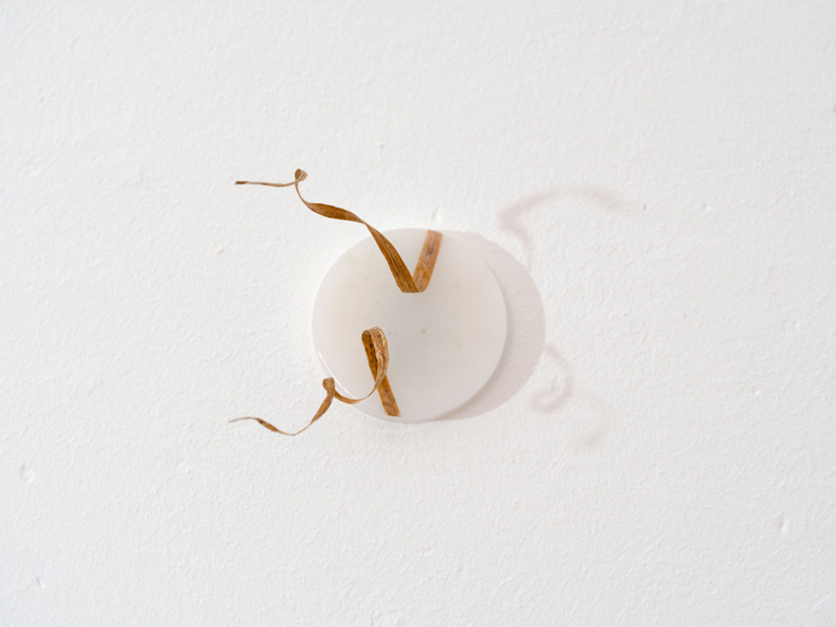 ANJA ASCHE – Erinnerung No.3 – No. 5. Objektart, wallobjects, sculpture, wax, grasses, leaves.