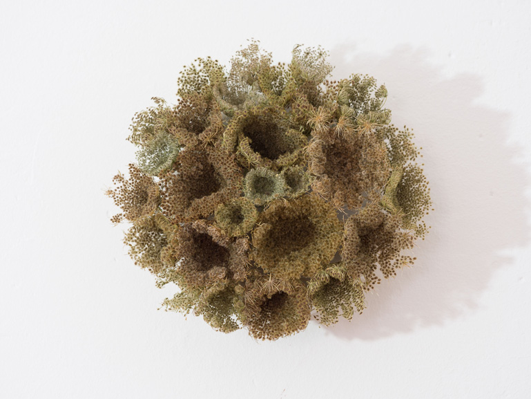 ANJA ASCHE – Erinnerung No.3 – No. 5. Objektart, wallobjects, sculpture, wax, grasses, leaves.