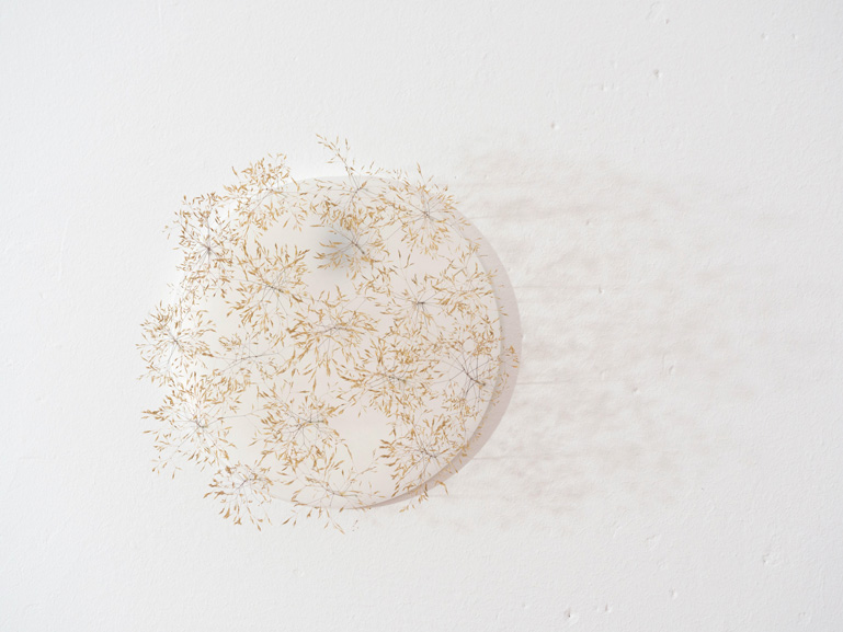 ANJA ASCHE – Erinnerung No.3 – No. 5. Objektart, wallobjects, sculpture, wax, grasses, leaves.